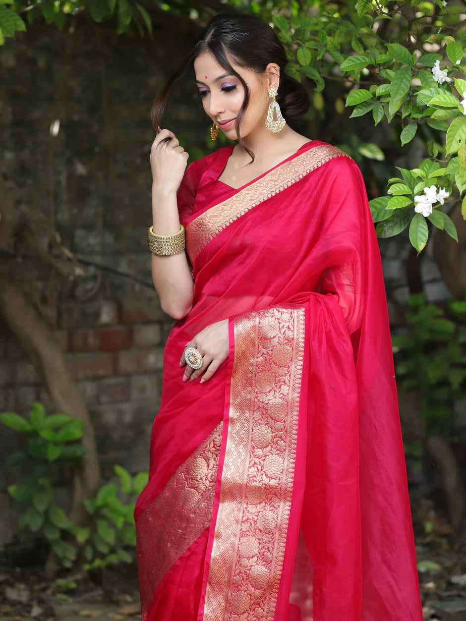 Elenoir Premium Classic Red Kanjivaram Organza Saree with Rich Gold Zari Border | Wedding, Bridal, Festive & Party Wear