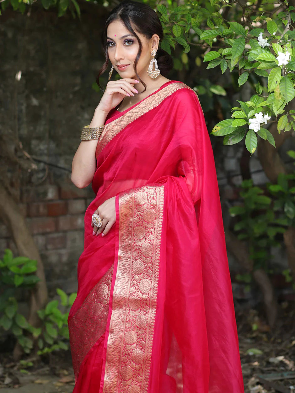 Elenoir Premium Classic Red Kanjivaram Organza Saree with Rich Gold Zari Border | Wedding, Bridal, Festive & Party Wear
